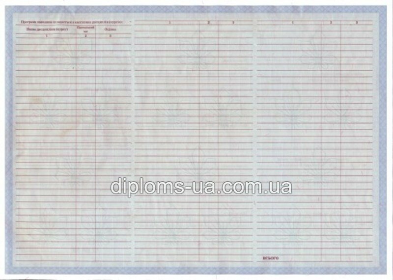 Диплом бакалавра с приложением образца 2000-2010 года - Фото 4